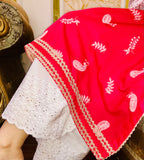 Crimson Grace Embroidered Kurta Set